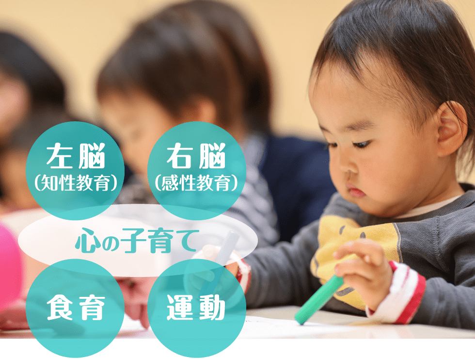 幼児コースは左脳(知性教育)、右脳(感性教育)、食育、運動の組み合せで心の子育て